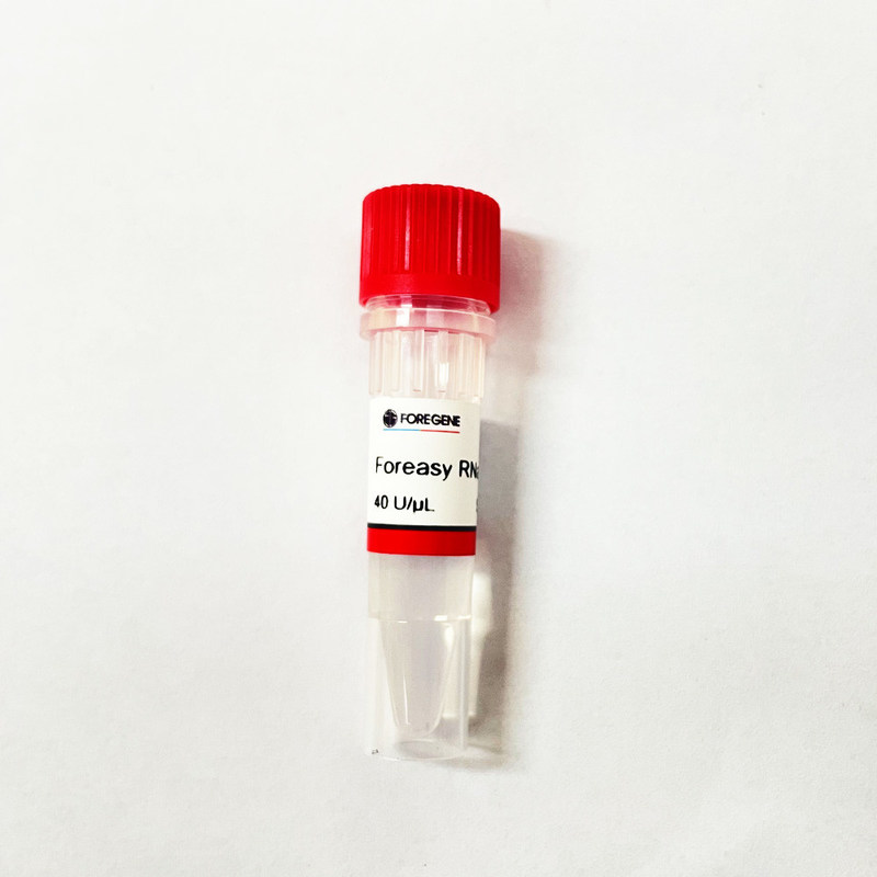 Fabrik-hohes Produktion Foreasy-RNase-Hemmnis Chinas IVD für RNS Schutz