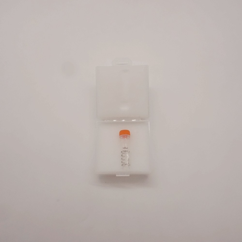 Zweifarbige MYC/IGH-Sonde zum Nachweis von Anomalien des menschlichen MYC/IGH-Gens