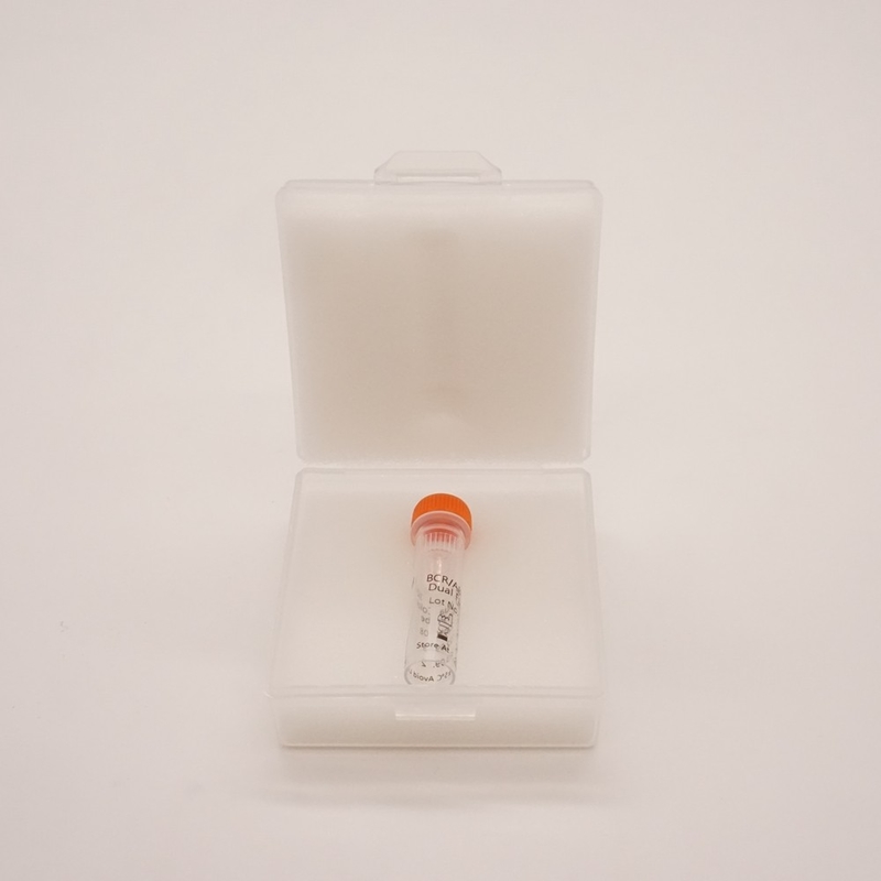 Fluoreszenz-in-situ-Hybridisierungsreagenz BCR ABL1 Dual Color Dual Fusion Probe