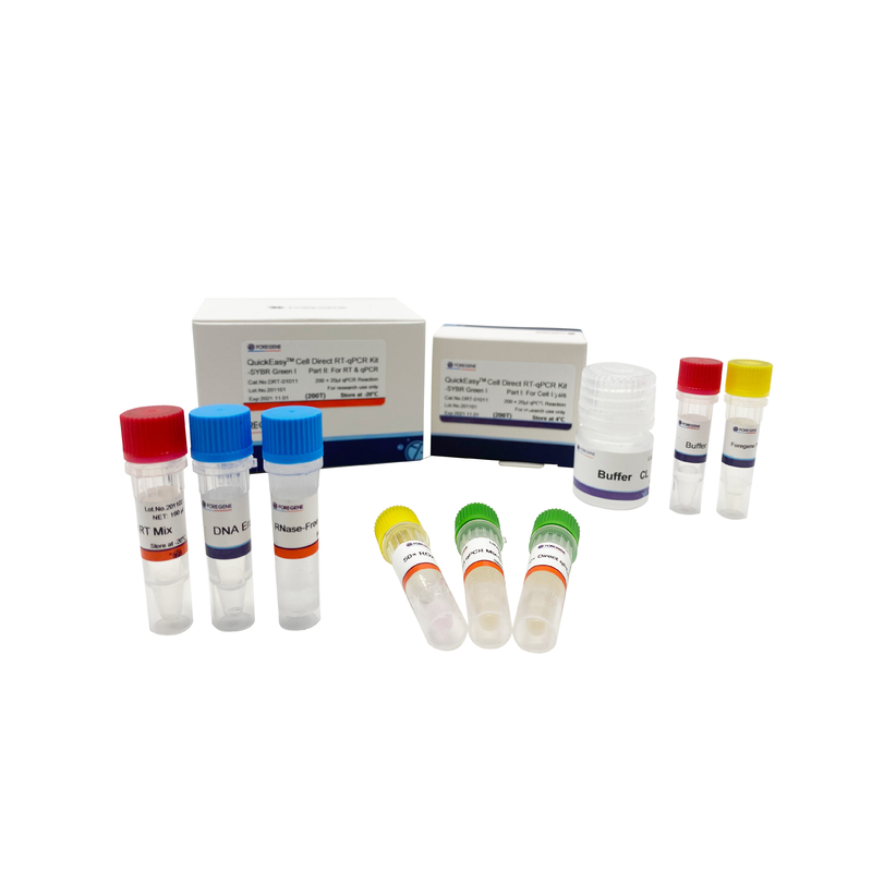 Dämpfen Sie CL ab, das eine Ausrüstung 200T 1000T Schritt Funktelegrafie QPCR Zelle direktes RT-QPCR züchtete