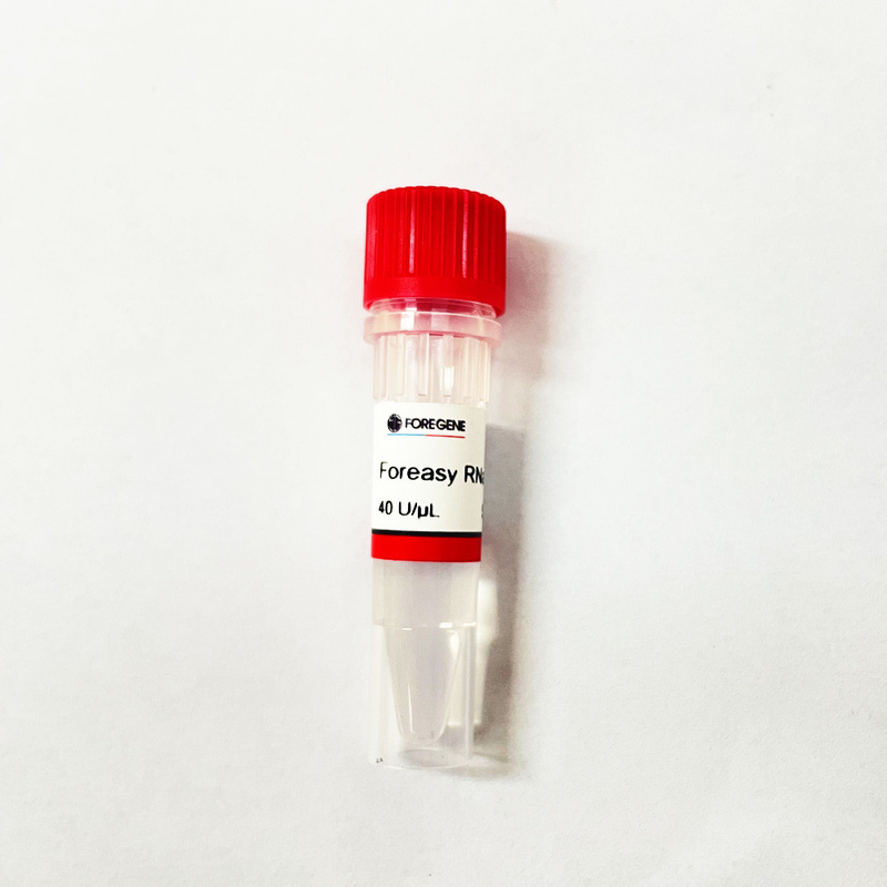 Beispielnukleinsäure-Trennmittel für DNA-RNS Reinigung vor Realzeit-PCR-Reaktion