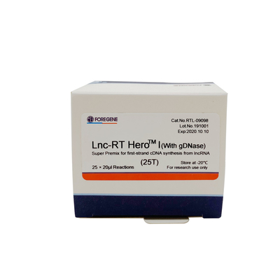 Supermischgut Lnc-Funktelegrafie HeroTM I (mit gDNase) für Erststrang cDNA Synthese vom lncRNA Cat.No.RTL-09098/09099