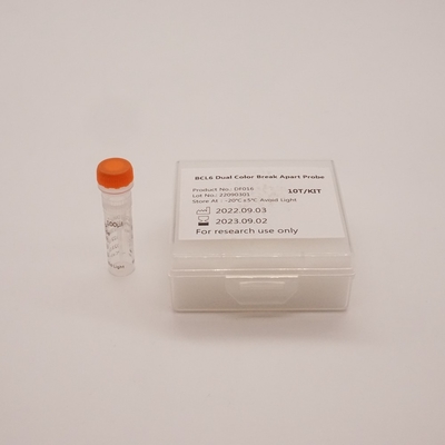 BCL6 Dual Color Break Apart Probe zur Erkennung von Anomalien des menschlichen BCL6-Gens